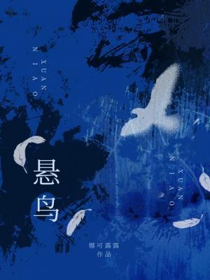 悬鸟by娜可露露完结了吗
