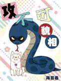 攻不可貌相番外