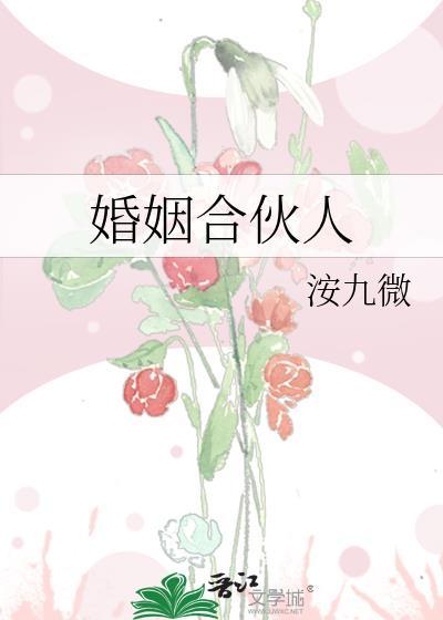 婚姻合伙人是什么意思