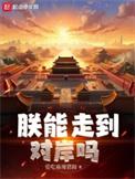 朕能走到对岸吗TXT全集