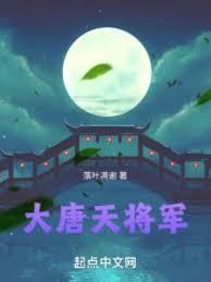 大唐天将军笔趣阁无弹窗