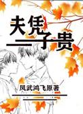 夫凭子贵是啥
