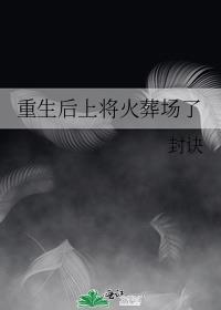重生后上将火葬场了 双男主 主受 已完结