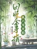 回收金手指
