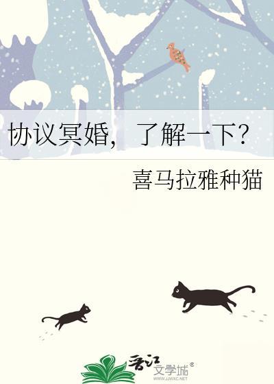 协议结婚免费阅读