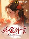 娇宠外室安页笔趣阁