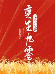 重生九零之火力全开作者 暖阳春晓