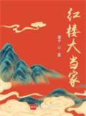 红楼大当家作者潭子