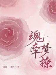 魂牵梦绕by