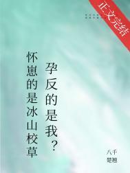 宿敌孕反?番外全