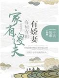 家有傻夫郎晋江