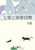 七零之我要招赘 作者辛橙