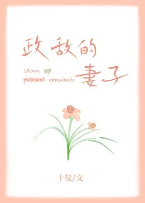 政敌的妻子讲的什么