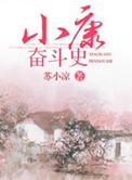 小康的历程时间顺序