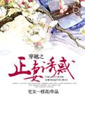 穿越之我是正妻