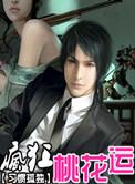 桃花运魔性版