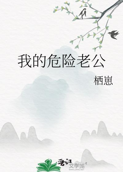 我的危险老公免费阅读全文