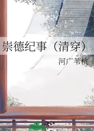 崇德纪事清穿百度TXT
