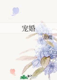 宠婚蜜爱闪婚总裁