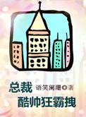 总裁酷帅狂霸拽广播剧百度