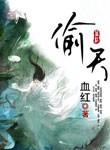 偷天宝鉴