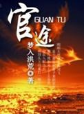 官途权力巅峰