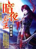 暗夜君王1至100集