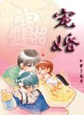 宠婚免费阅读