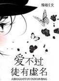 爱不过徒有虚名类似