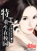 特工重生在校园TXT免费