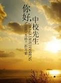你好中校先生讲的什么
