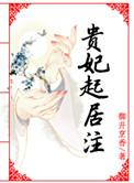 贵妃起居注txt百度