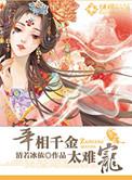 宰相千金穿越剧集
