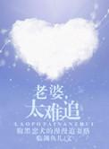 老婆太难追临渊鱼儿晋江文学