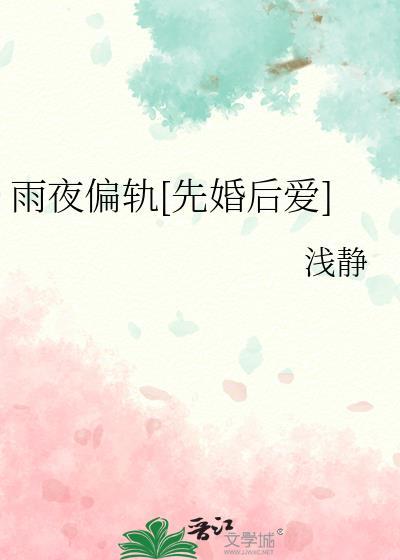 作者雨夜的
