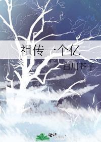 祖传一个亿白川芥子