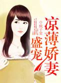 盛宠娇妻 电视剧