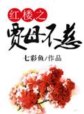 红楼之贾母当家
