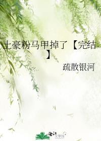 粉丝马甲