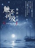 触不可及歌曲