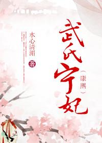 宁妃武氏有几个子女