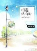 相遇终有时晋江