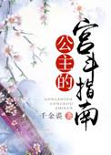 宫斗公主戏梗