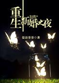 重生新婚之夜的惊喜