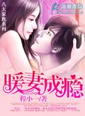 暖妻成瘾剧情