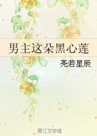 男主这朵黑心莲txt趣书网