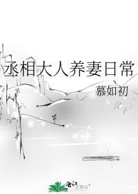 丞相大人养妻日常完整版