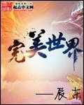 完美世界5月8日主力资金净买入