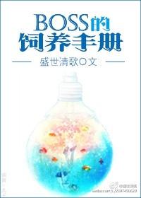 boss养成指南完结