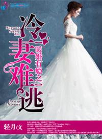 暖婚之温宠冷妻